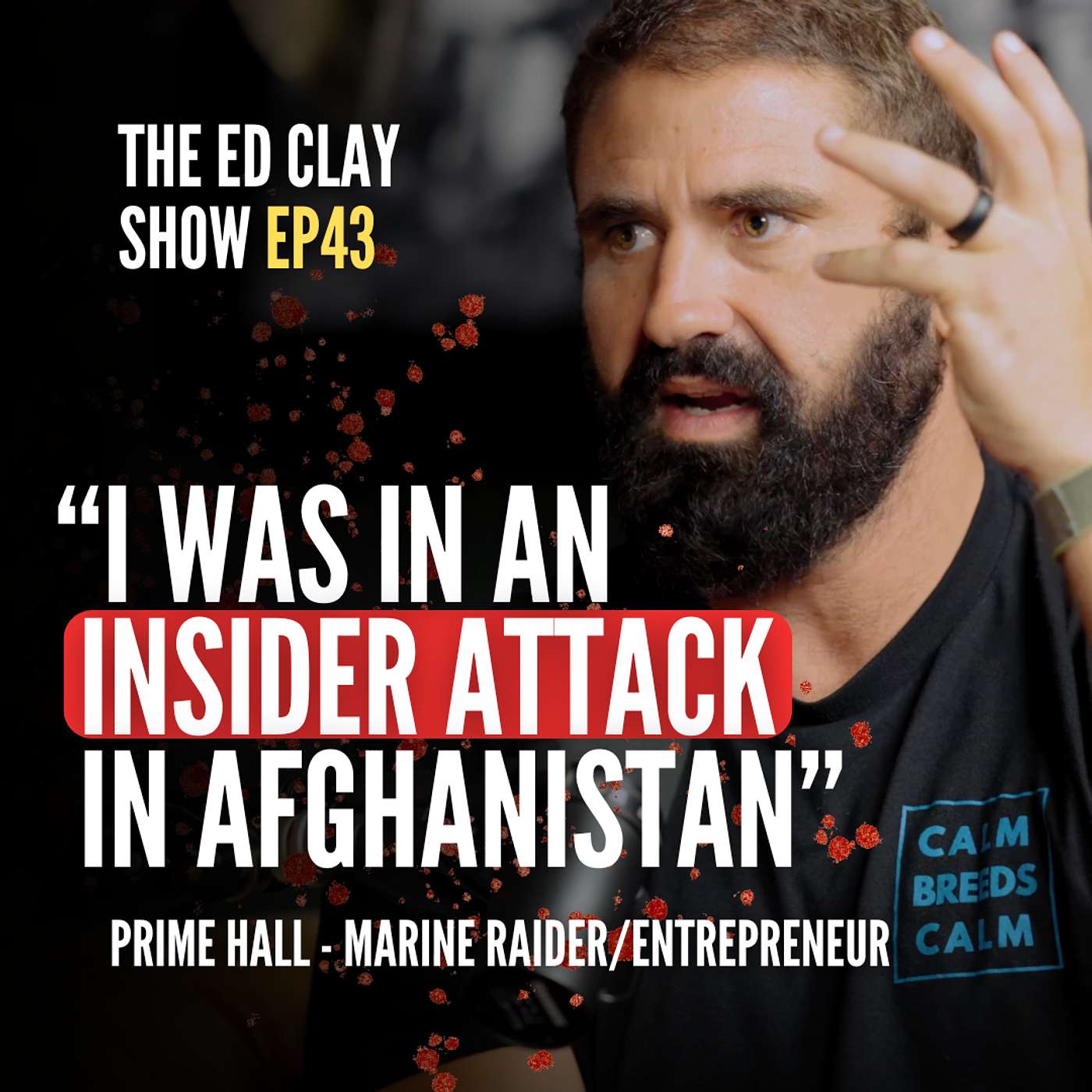 Using Emotional Intelligence to Break Through Trauma Beyond The Battlefield - Prime Hall - ECS EP43