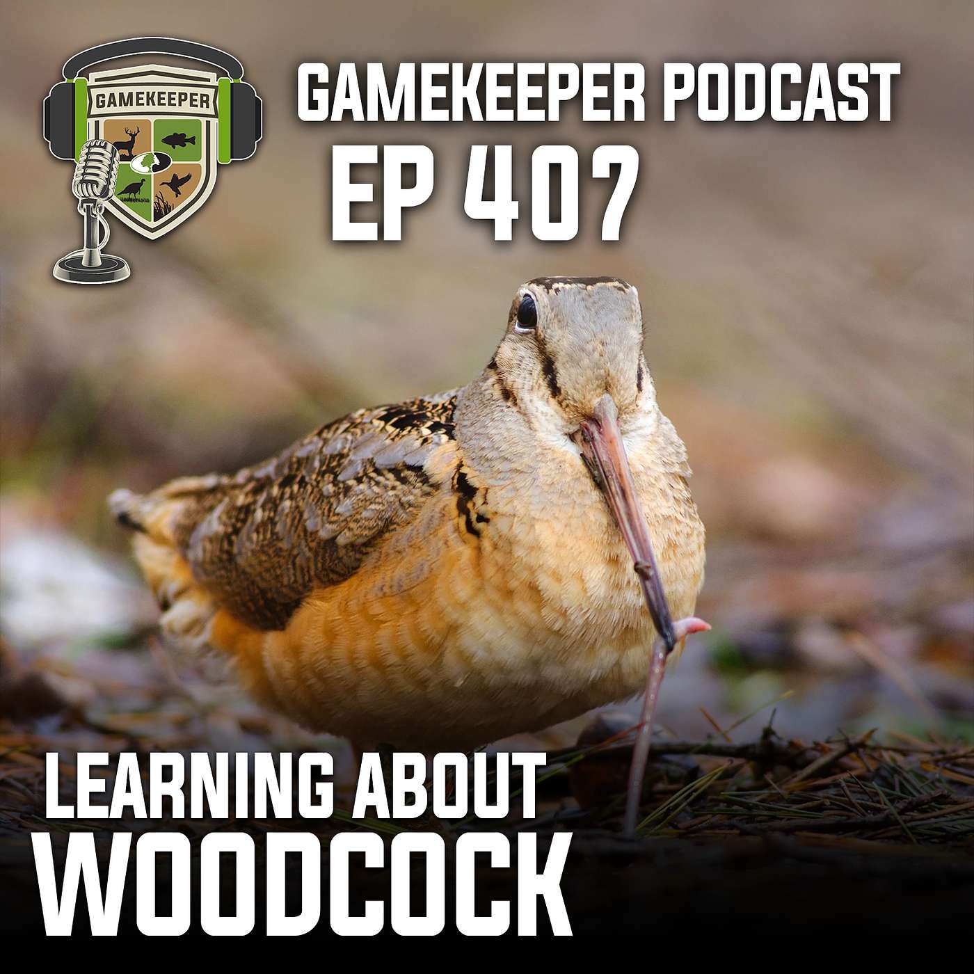 EP:407 | Learning About Woodcock