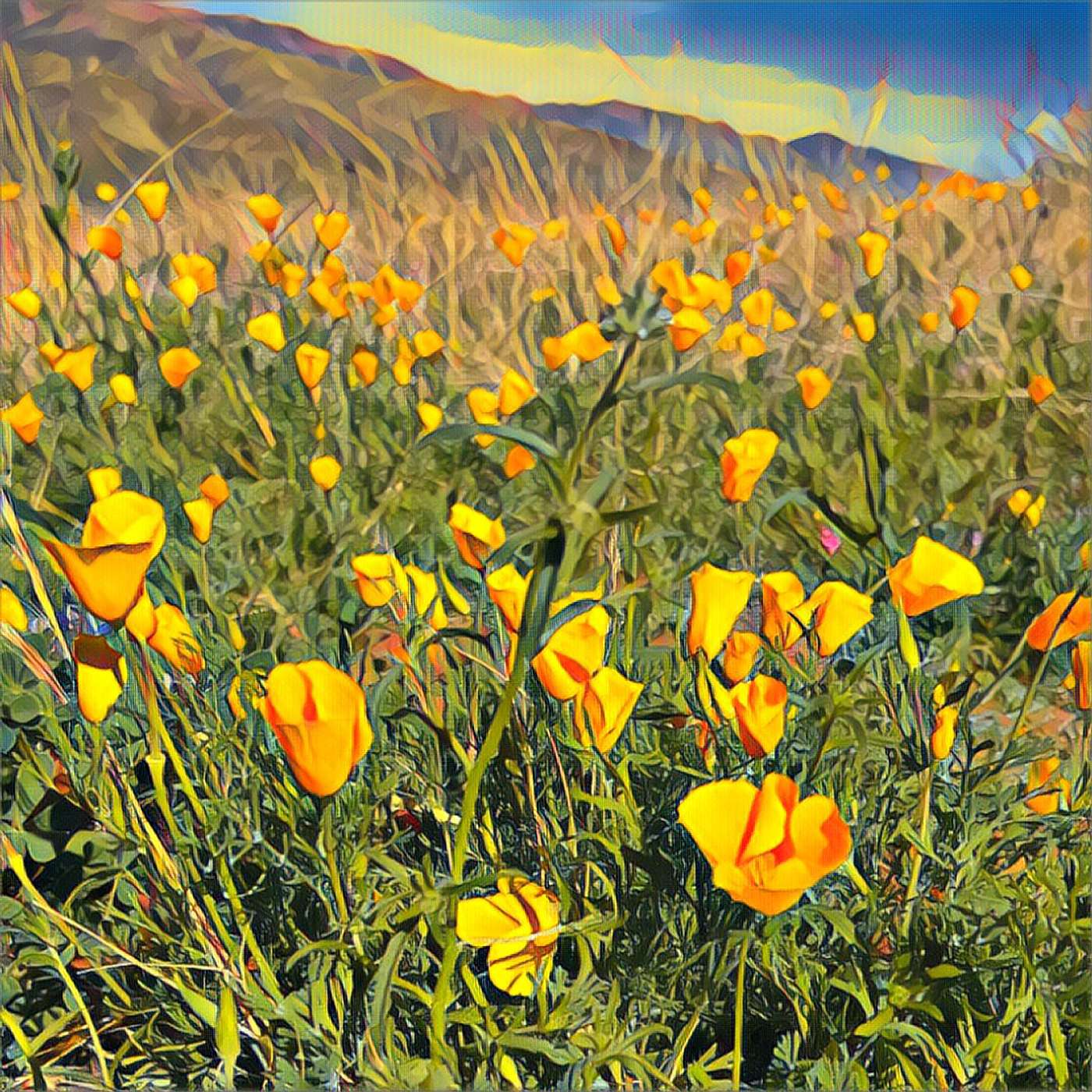 Arizona Trail: Four Peaks Wilderness