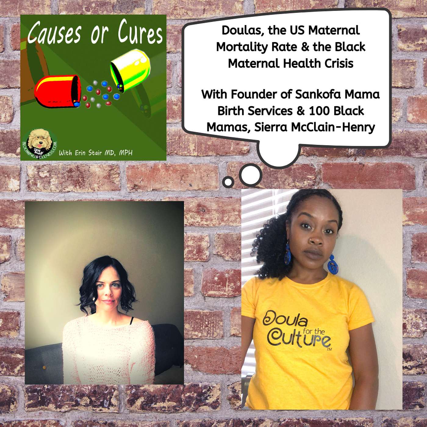 Doulas, The US Maternal Mortality Rate & The Black Maternal Health Crisis, with Sierra McClain-Henry