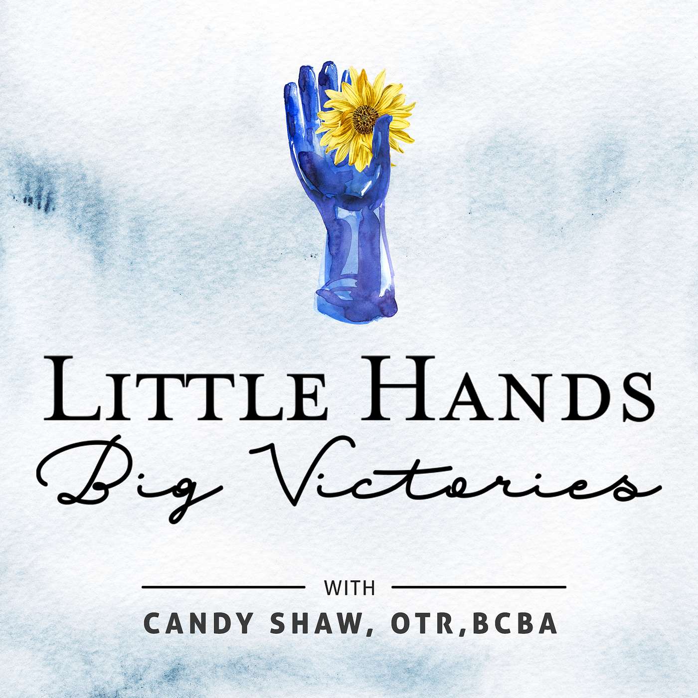 Little Hands Big Victories