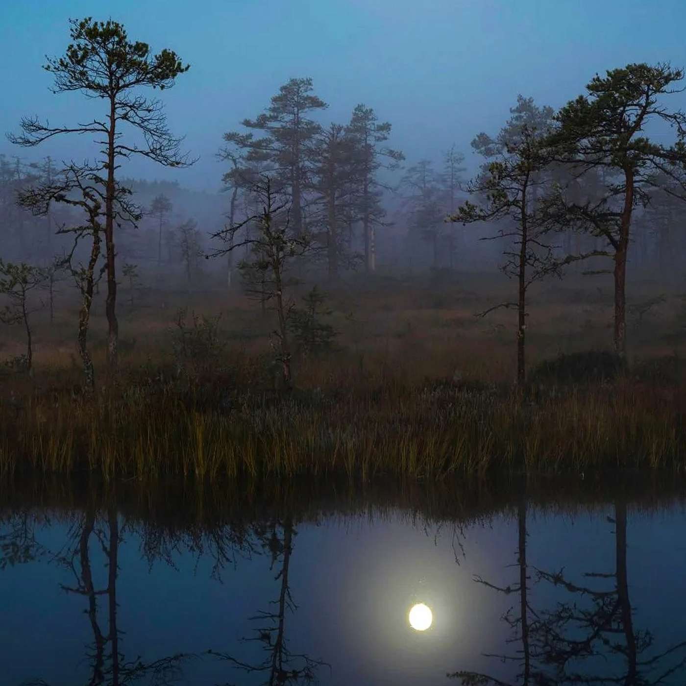 Ben Belinsky\'s Moonletter Podcast