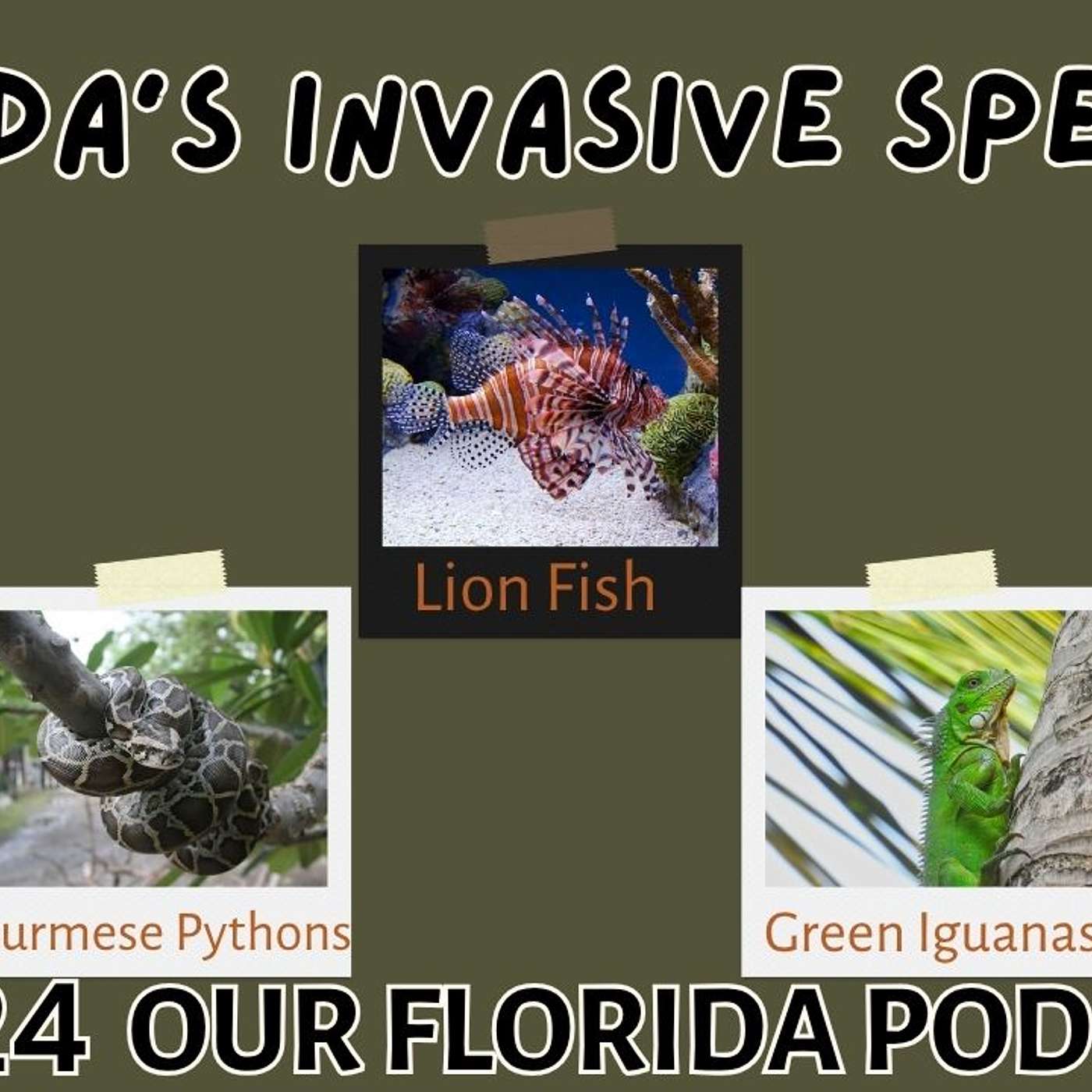 Our Florida Podcast