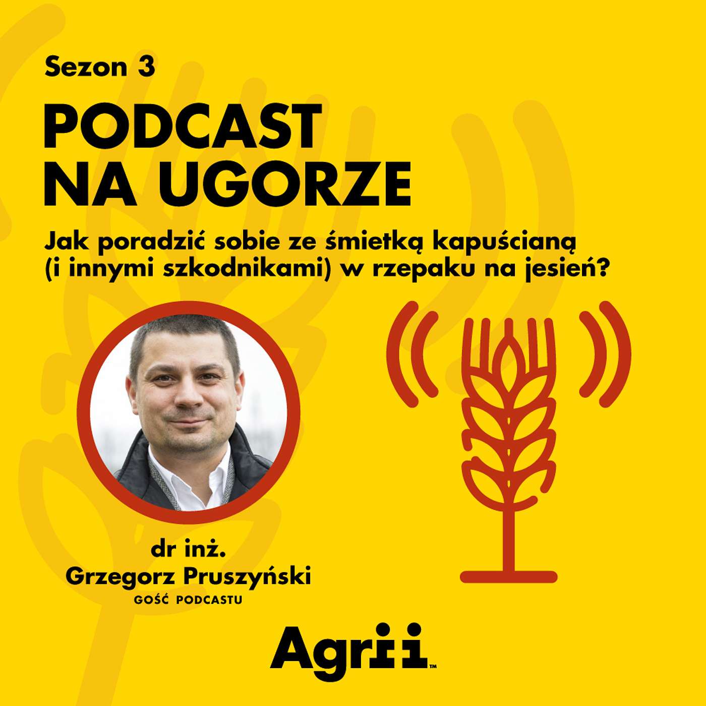 Jak poradzić sobie ze śmietką kapuścianą (i innymi szkodnikami) w rzepaku na jesień? | dr inż. Grzegorz Pruszyński
