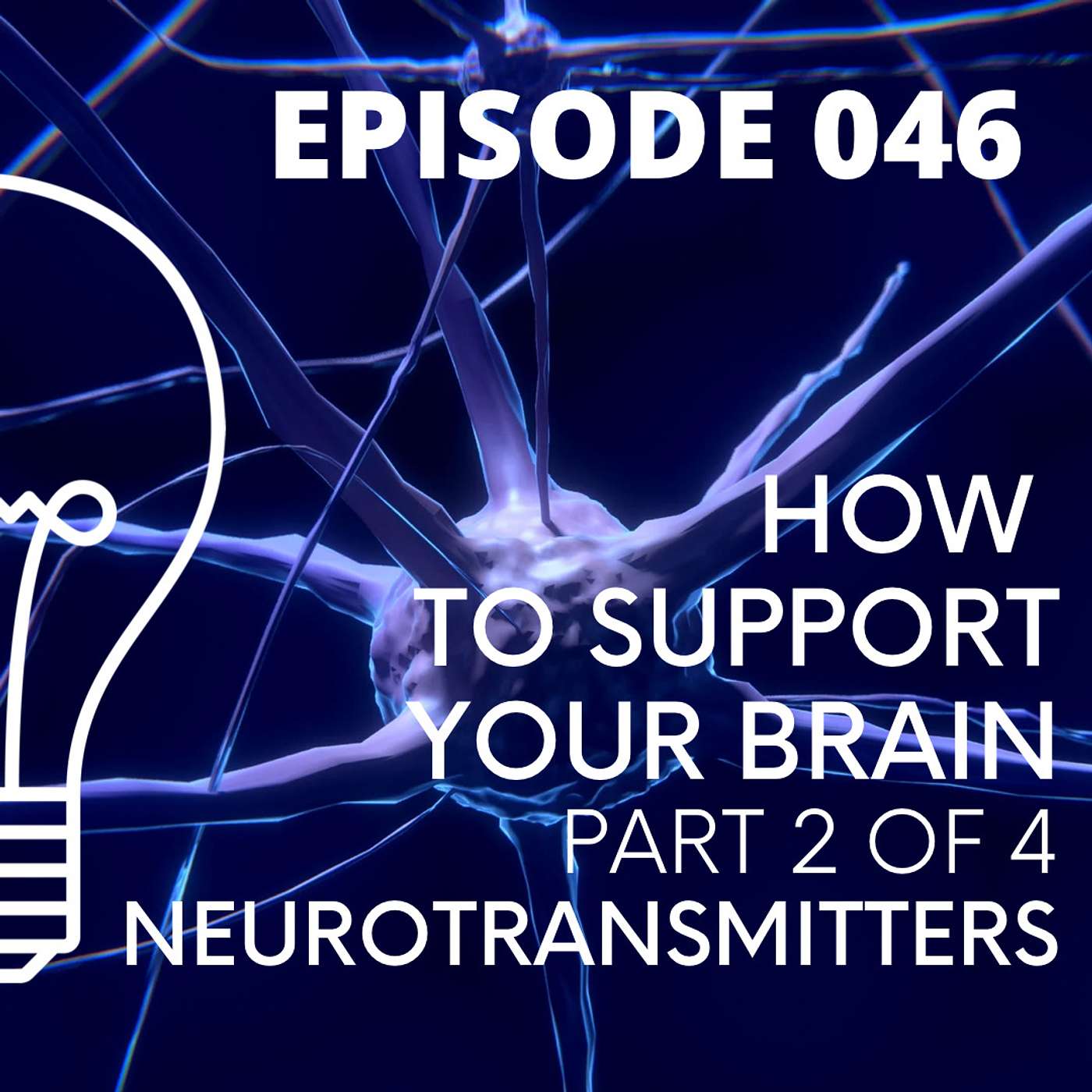 046 - How To Support Your Brain - part 2 of 4 - NEUROTRANSMITTERS