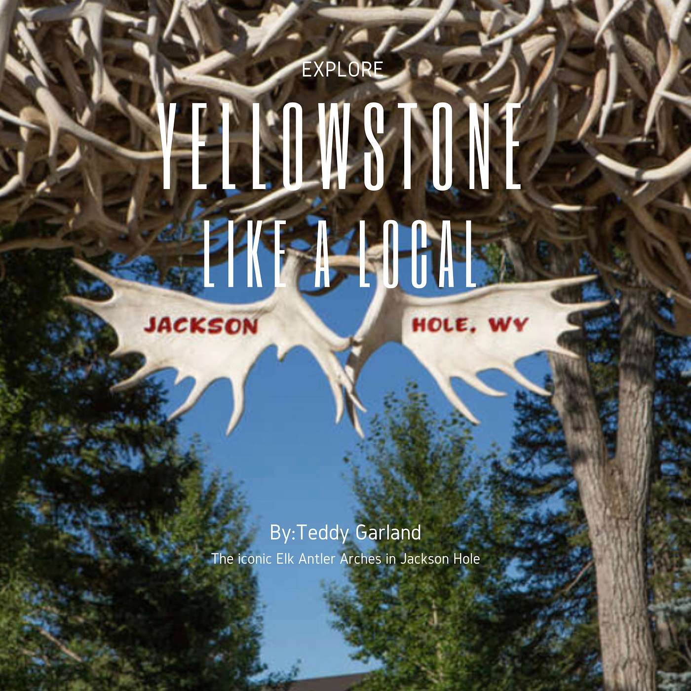 Explore Yellowstone Like a Local! Save TIME & MONEY on your Yellowstone Vacation.