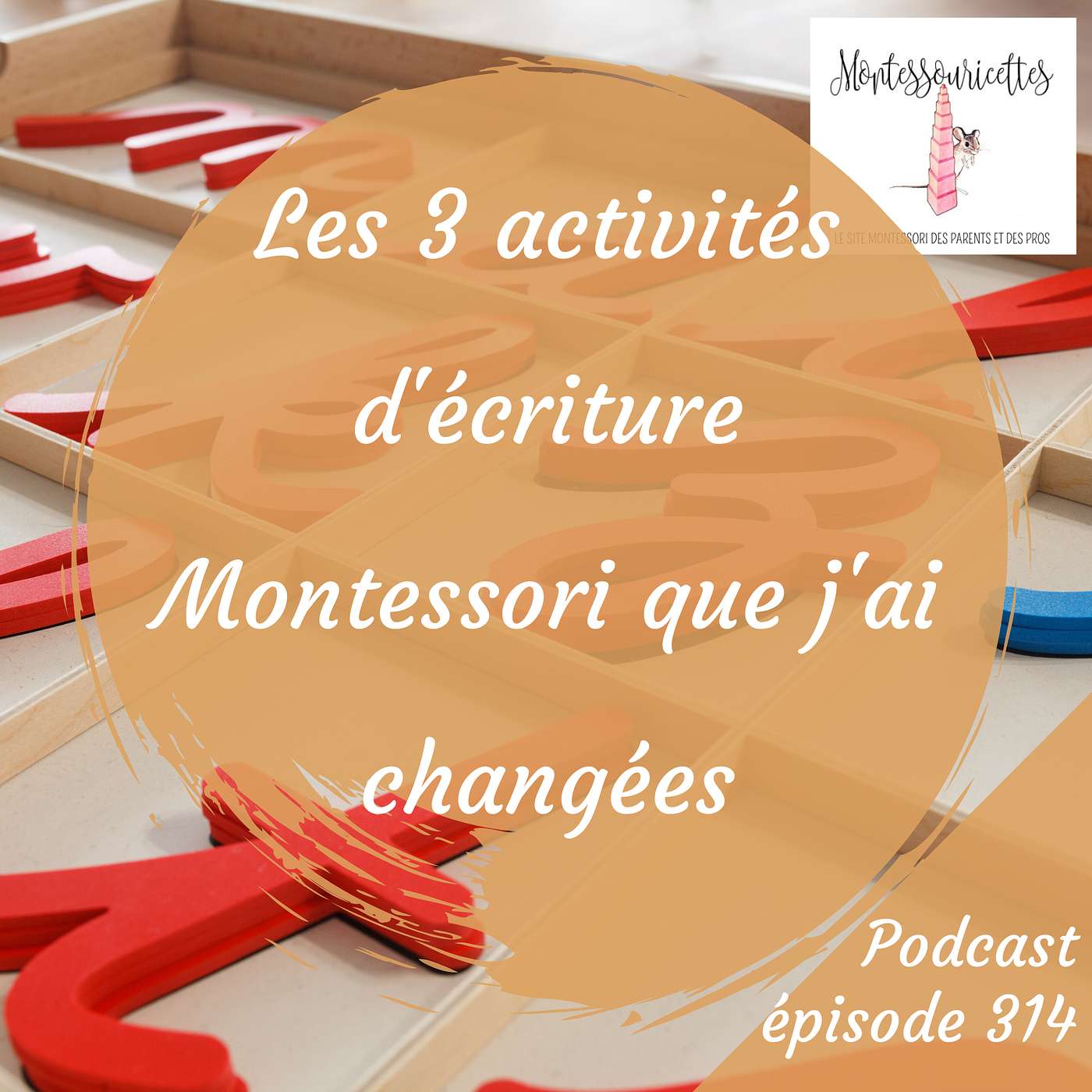 314. Les 3 activités d'écriture Montessori que j'ai changées (Redif)