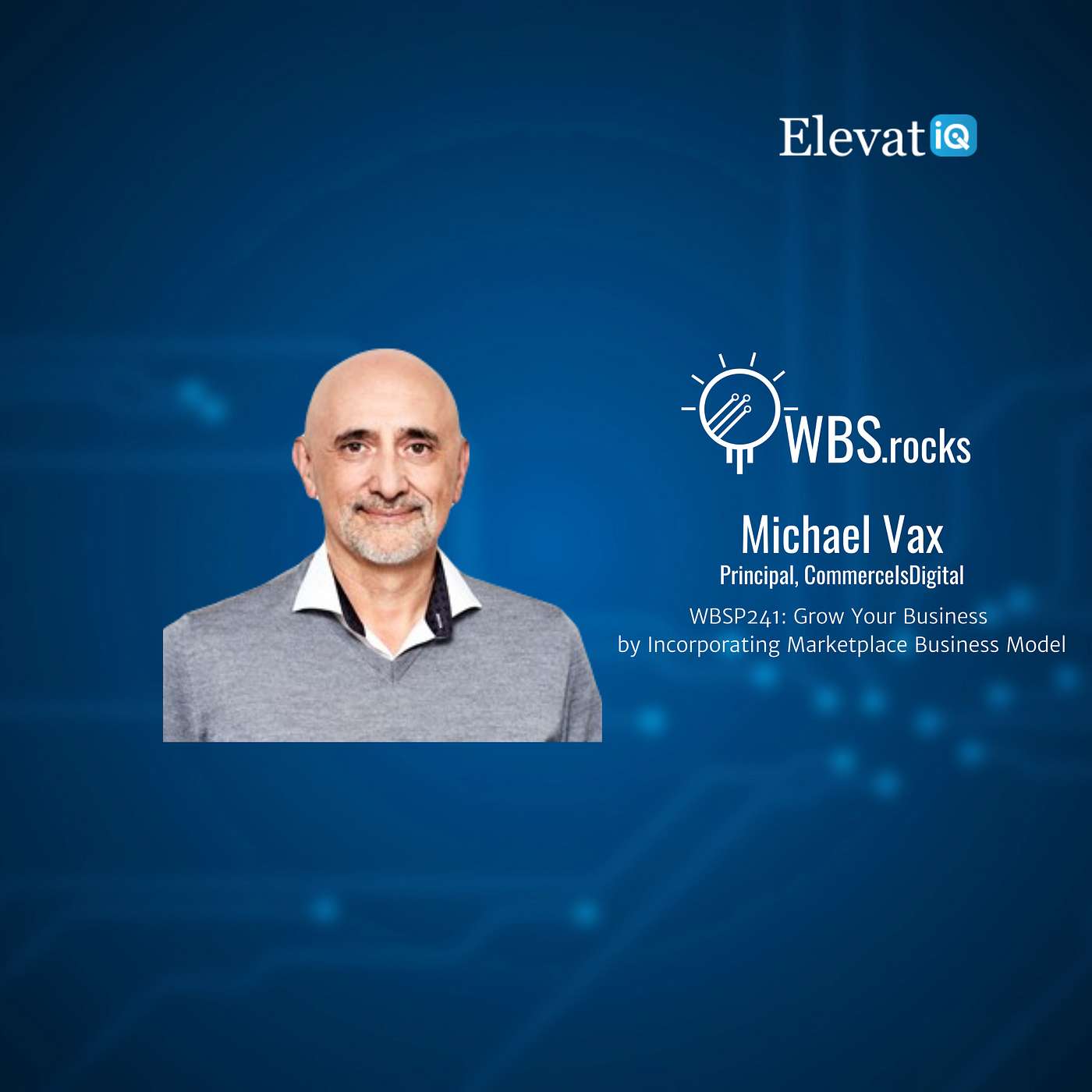 WBSP241: Grow Your Business by Incorporating Marketplace Business Model w/ Michael Vax