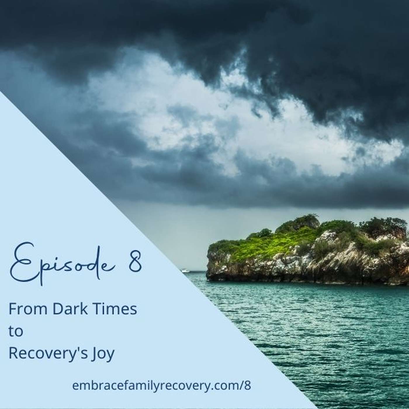 The Embrace Family Recovery Podcast