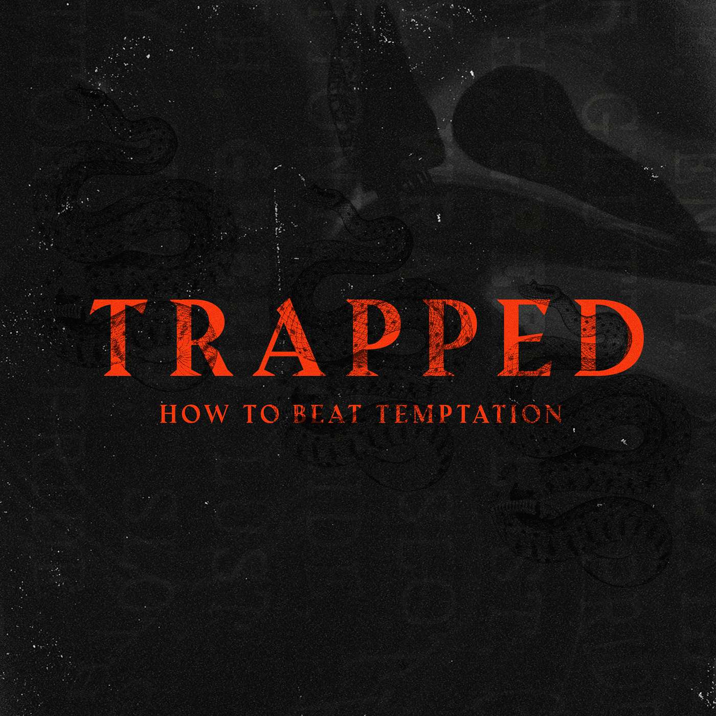 The Trap of Satan The Trap of Satan