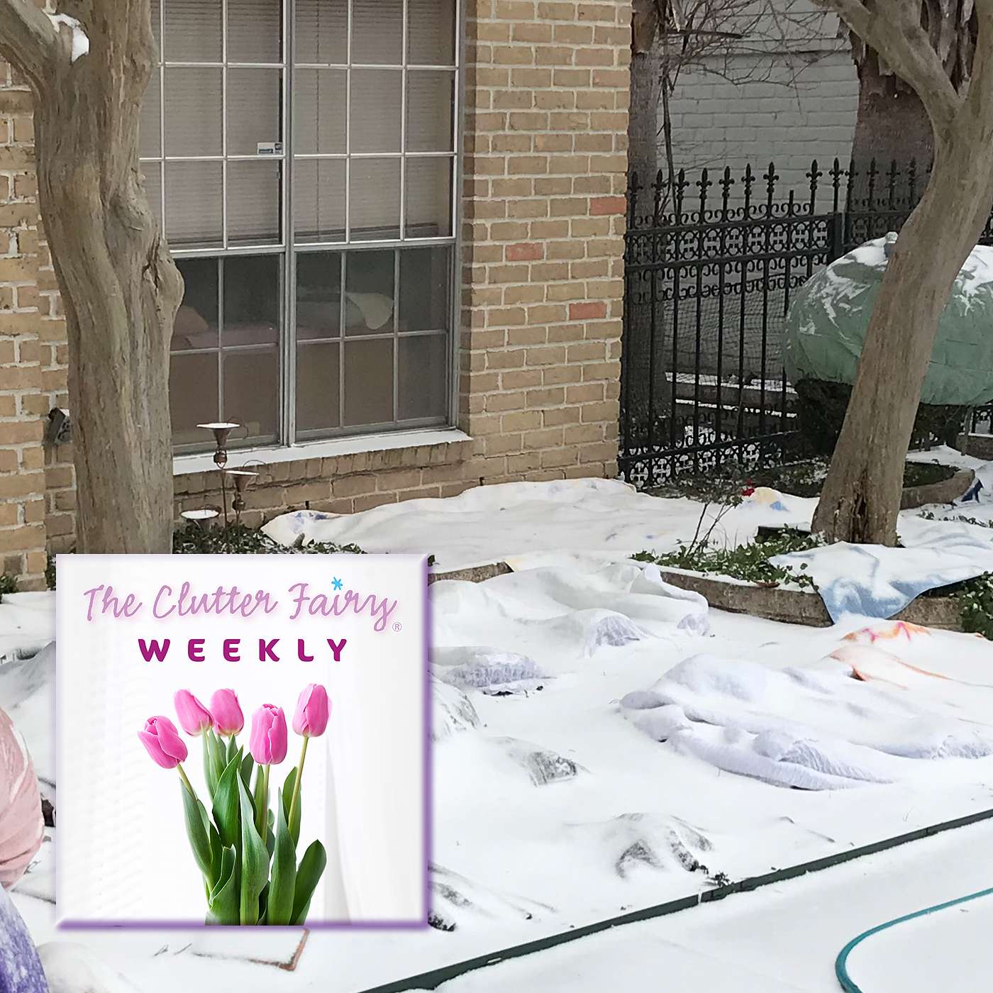 The Clutter Fairy Weekly #58 - Texas Winter Storm Report | Viewer Comments and Questions