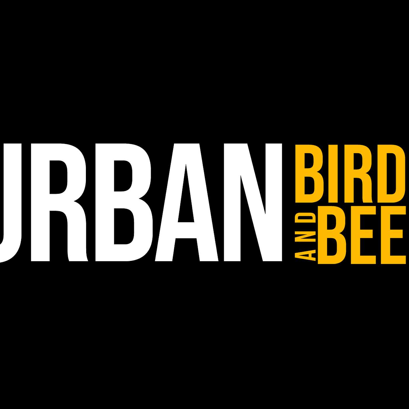 Urban Birds & Bees