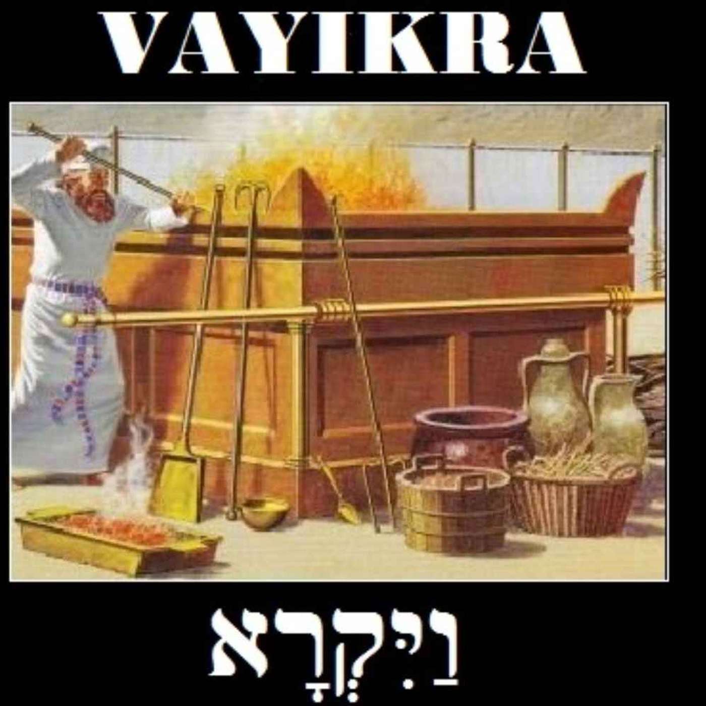 Vayikra: Leviticus 1:1-5:26