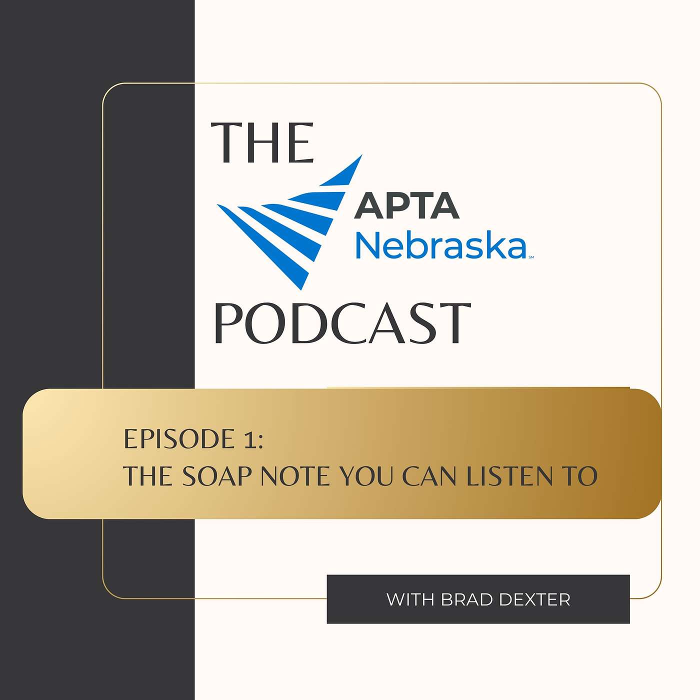 APTA Nebraska Podcast