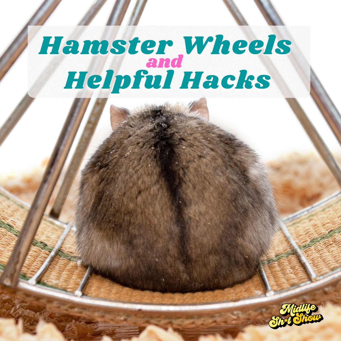 Episode 6: Hamster Wheels and Helpful Hacks Episode 6: Hamster Wheels and Helpful Hacks