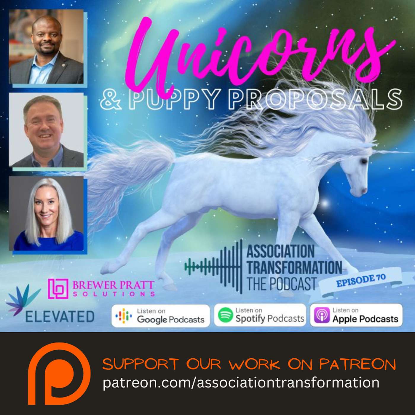 A unicorn and puppy proposals: fresh perspectives on association leadership