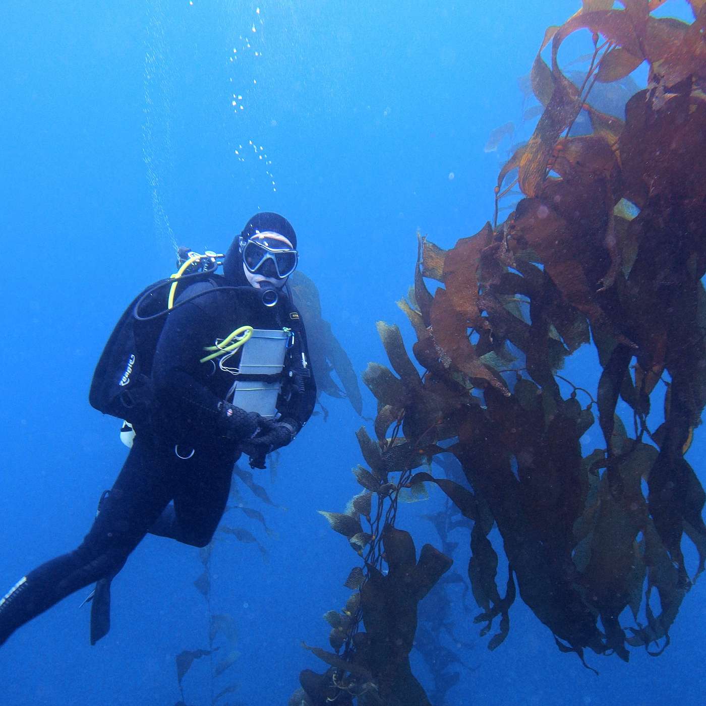 Episode 30: Kelp, I need somebody!
