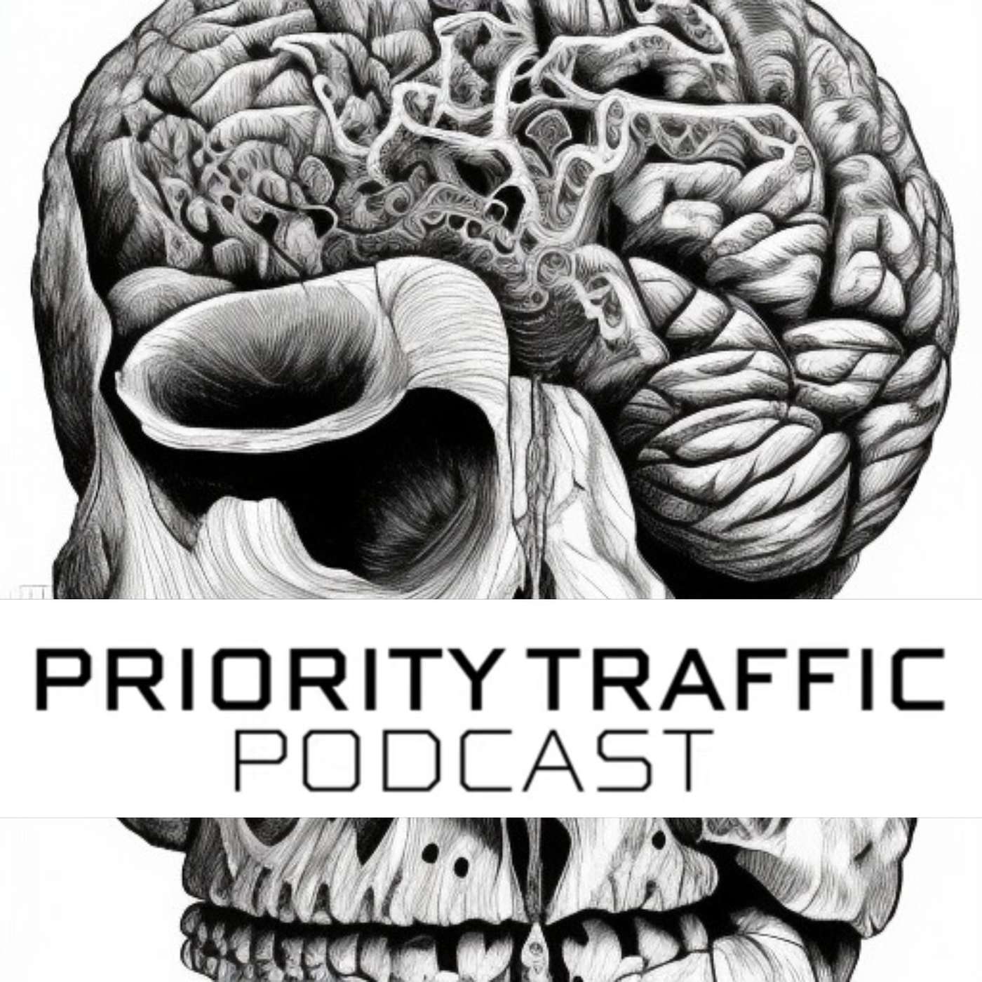 Ep. 013 | A look into Beginners Mind