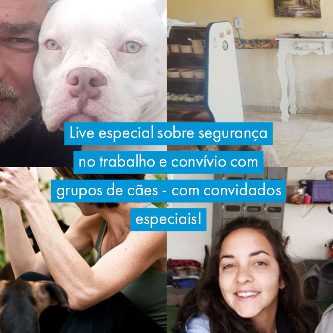 Educação Canina - Comportamento Canino & Adestramento