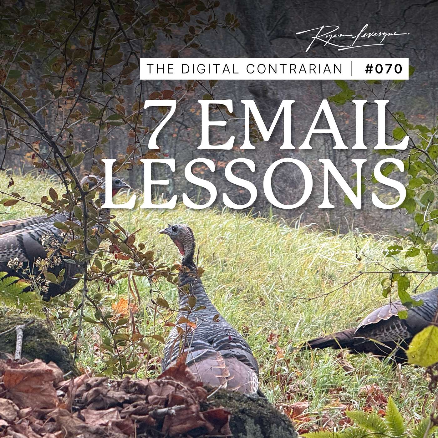 TDC 070: Seven "Non-Obvious" Email Lessons I've Learned Writing This Email Newsletter Each Week. TDC 070: Seven "Non-Obvious" Email Lessons I've Learned Writing This Email Newsletter Each Week.