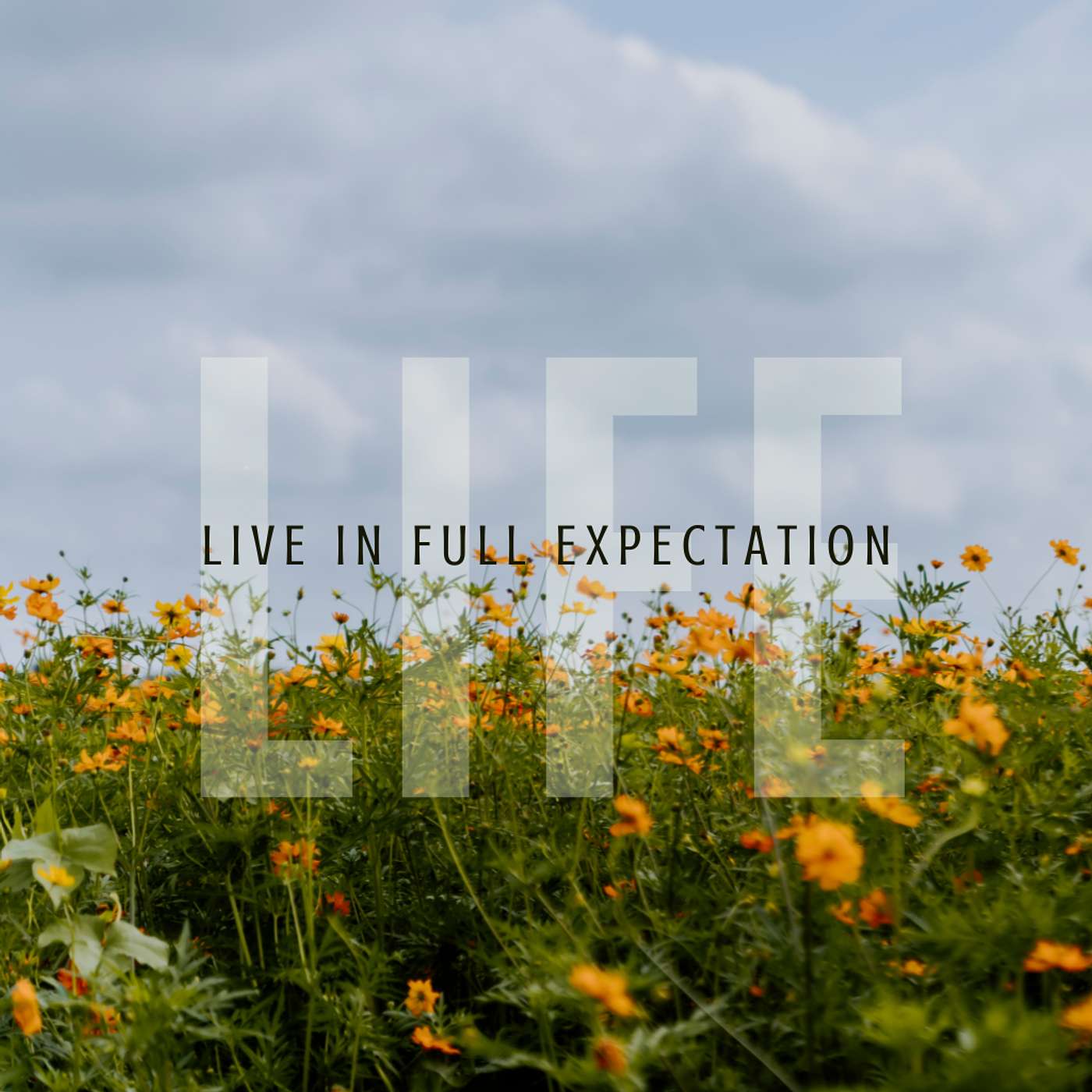 L.I.F.E. From Foundation to Full Expectation w/Pastor John Mitchell
