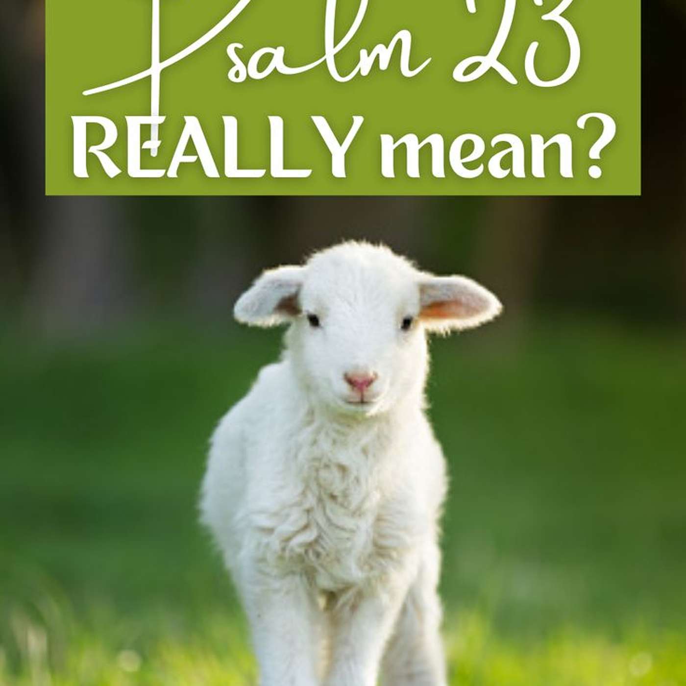 Weekly Devos / '' Walking Through Psalm 23 - Verse By Verse. '' episode artwork