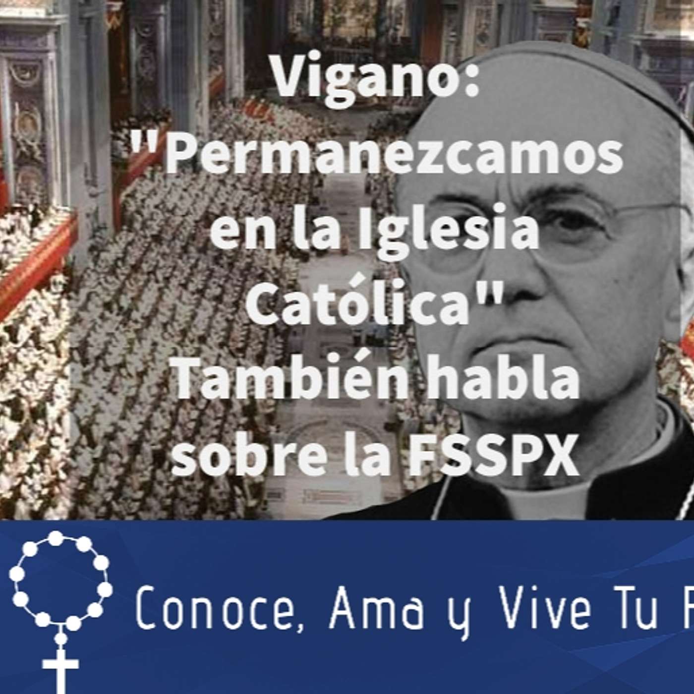 Episodio 342: ✝️ Vigano: Permanezcamos en la Iglesia Católica 👏También habla de la FSSPX 🙏