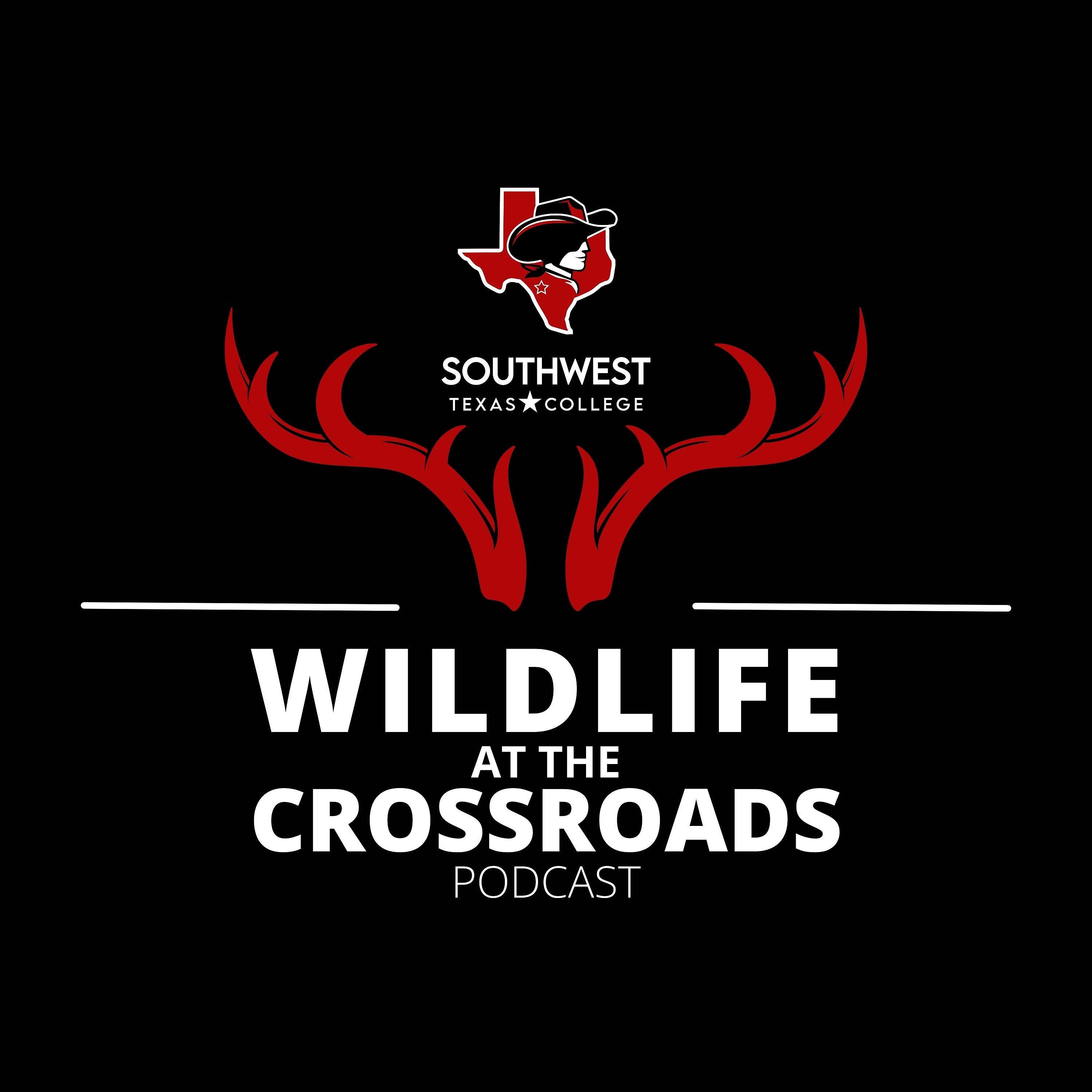 Wildlife at the Crossroads Podcast