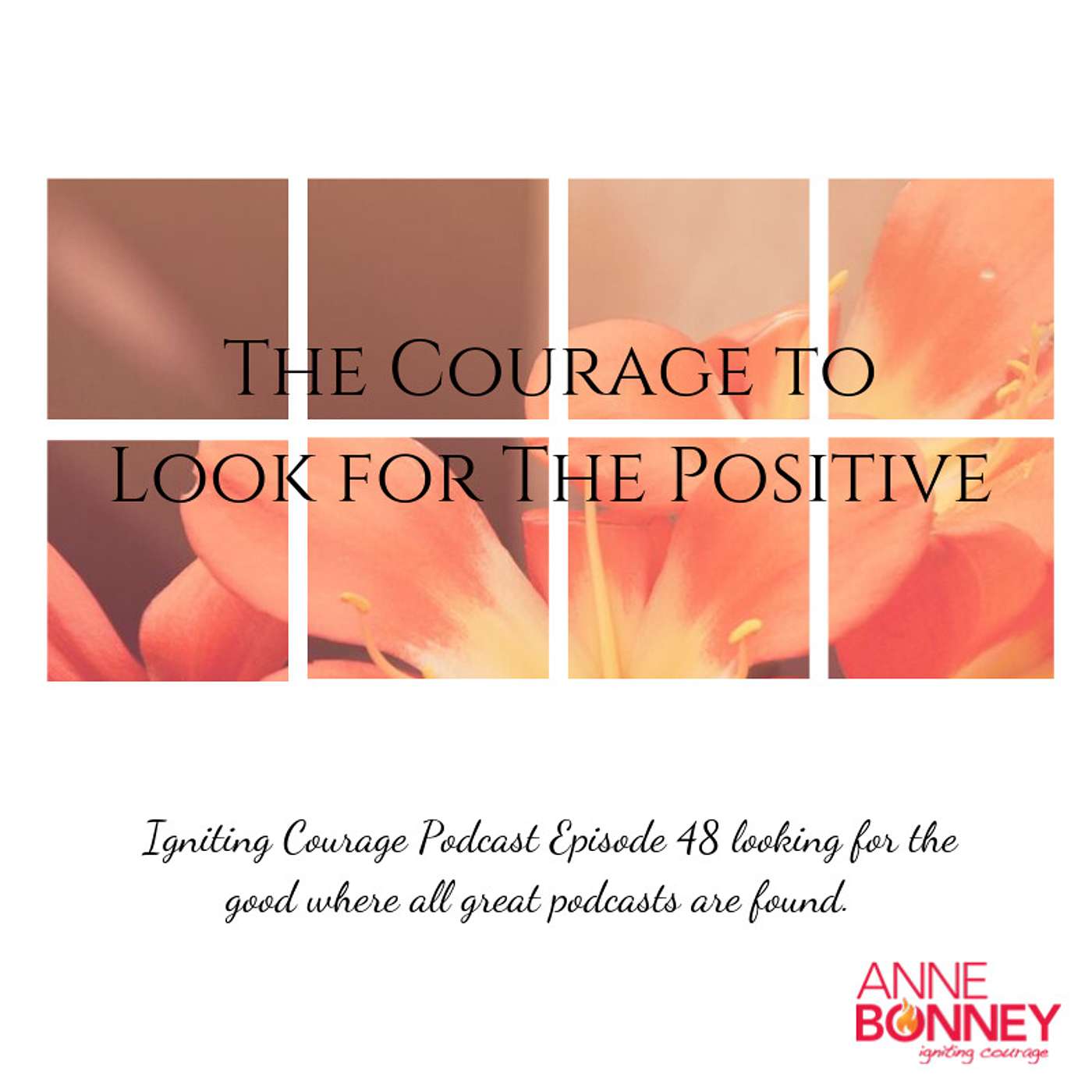 IGNITING COURAGE Podcast Episode 48: The Courage to Look for the Positive episode artwork