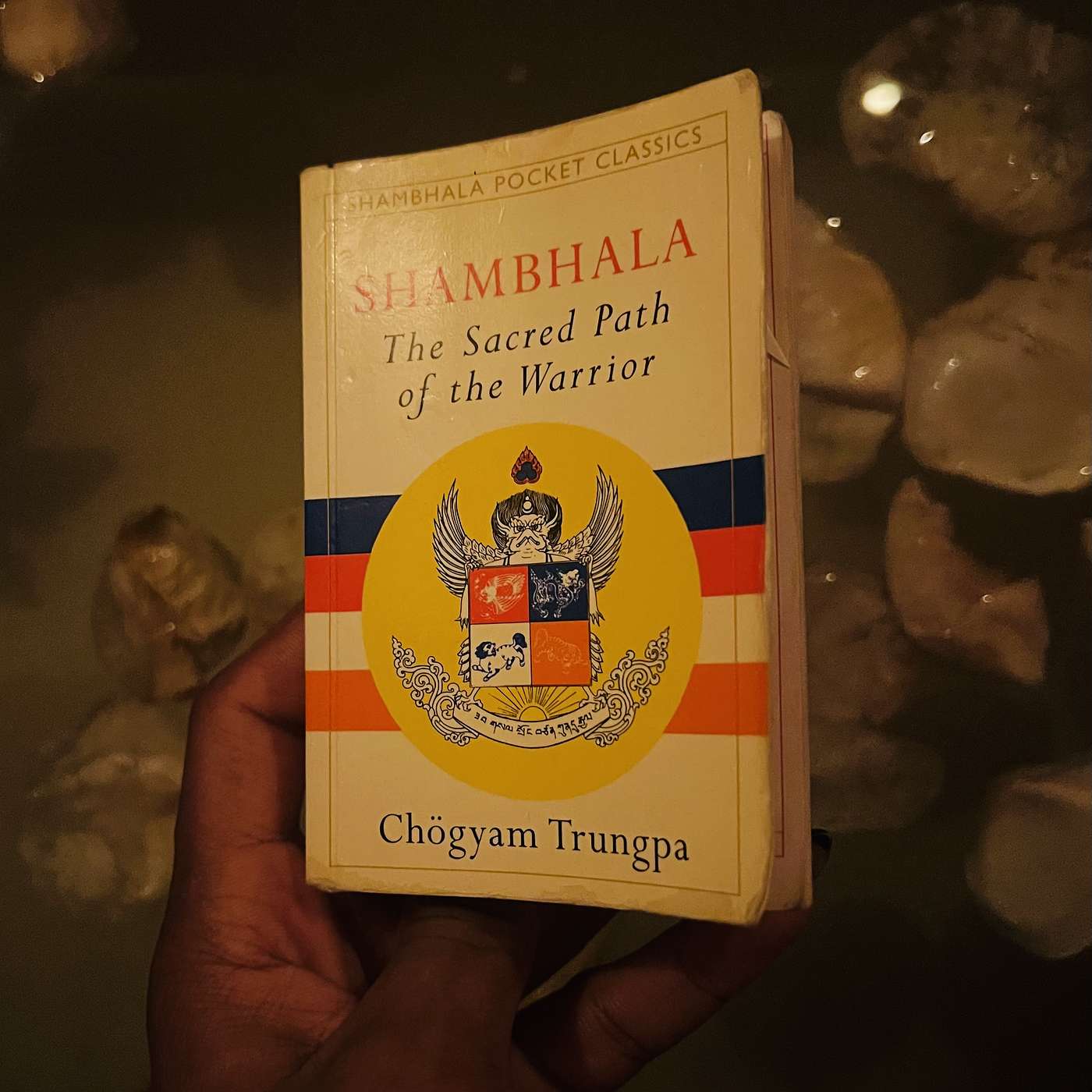 entry #017: shambala, the sacred path of the warrior, ch.15