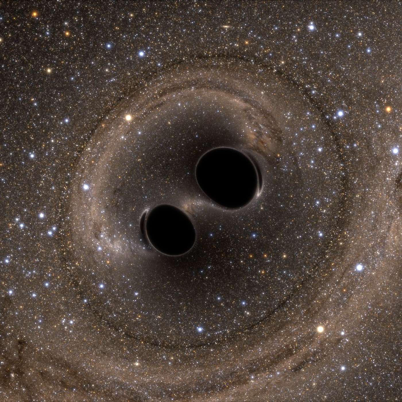 Exploring the Gravitational Wave Universe