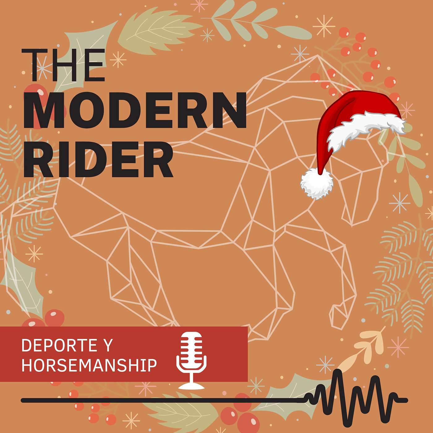 The Modern Rider