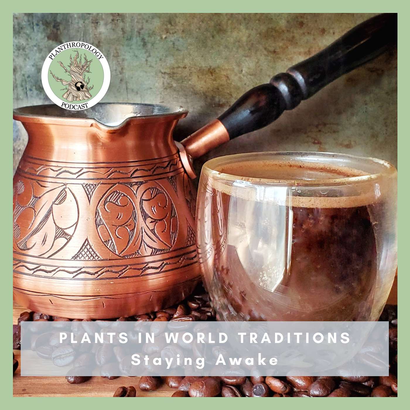 Plants in World Traditions- Staying Awake (Replay)