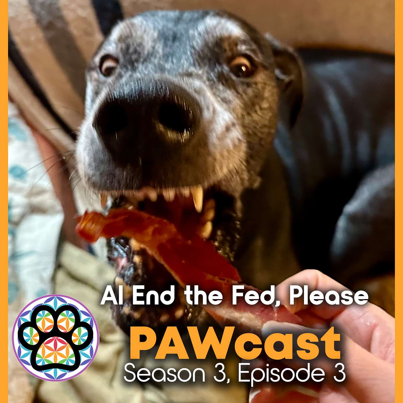34: AI Chatbots - End the Fed Please! episode artwork