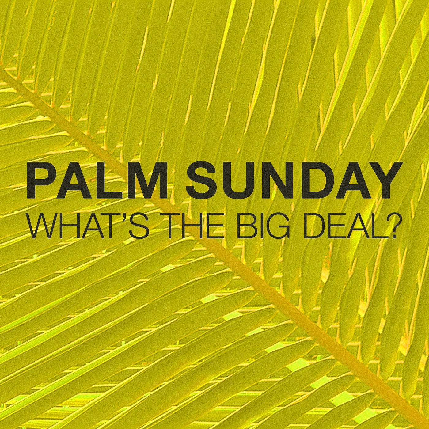 Palm Sunday, What's The Big Deal?