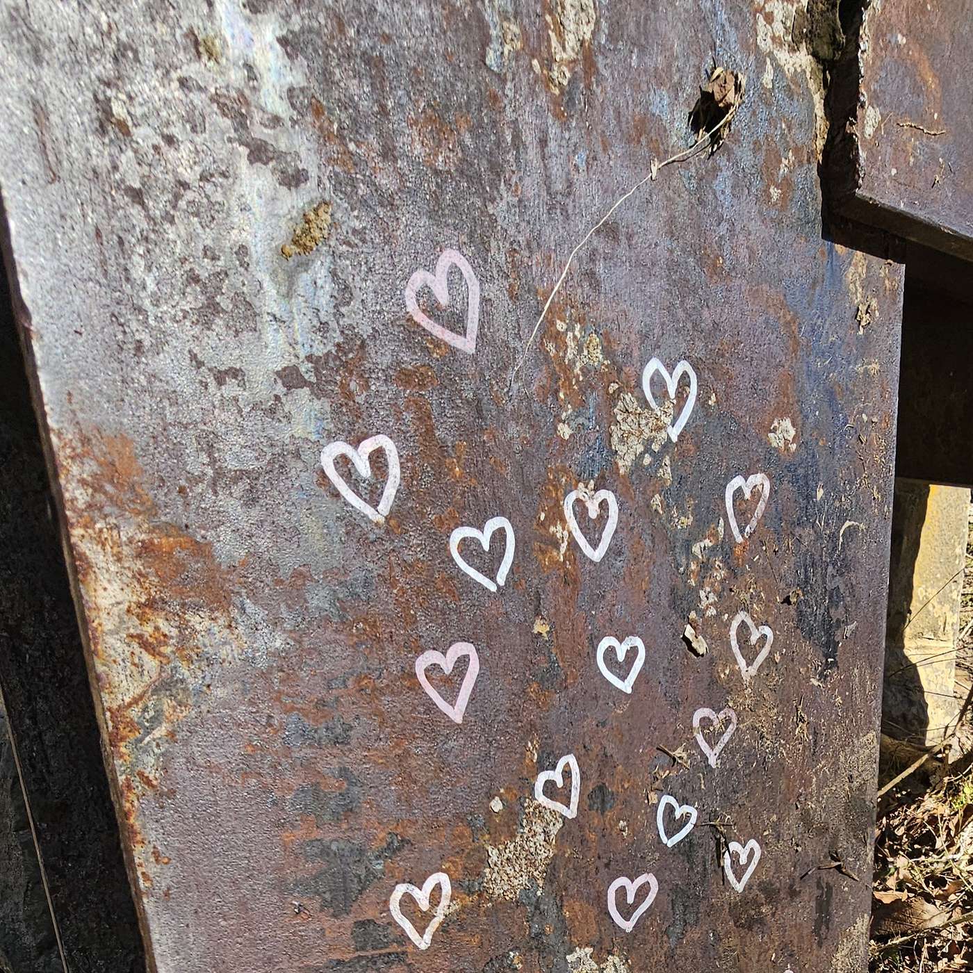 S16E7 - To Show Love