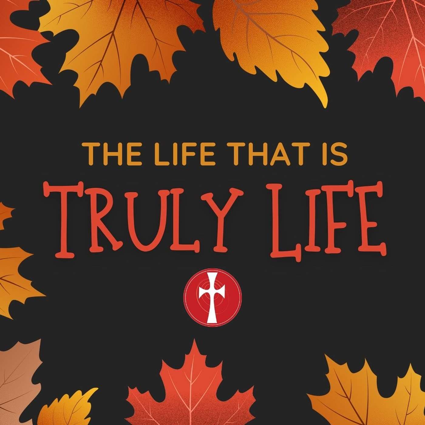 The Life That is Truly Life