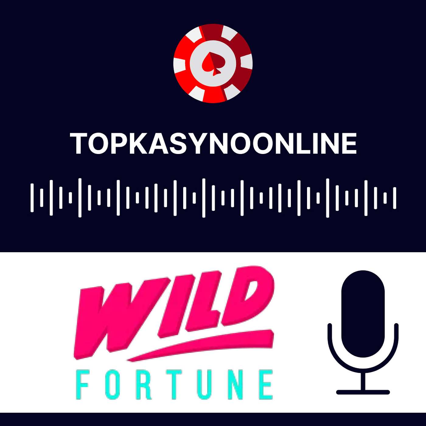 Recenzja kasyna Wild Fortune - Jak niezawodna jest Wild Fortune? episode artwork