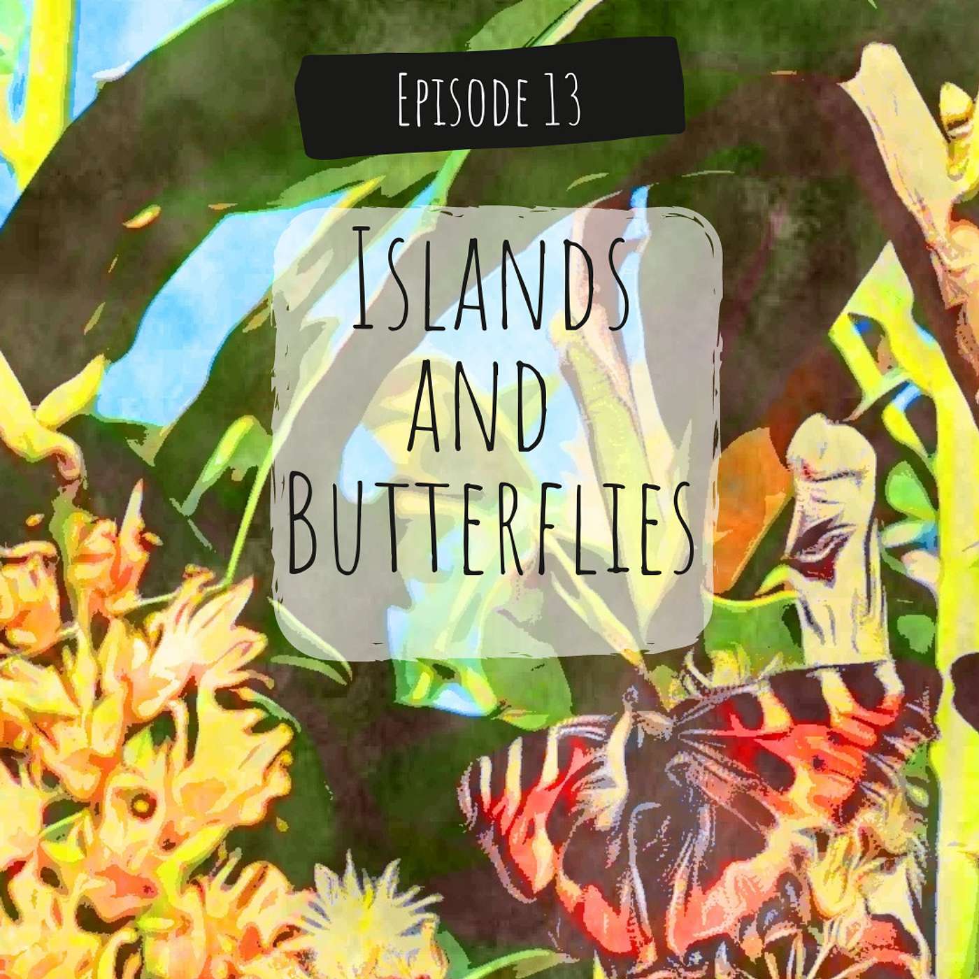 Islands and Butterflies episode artwork