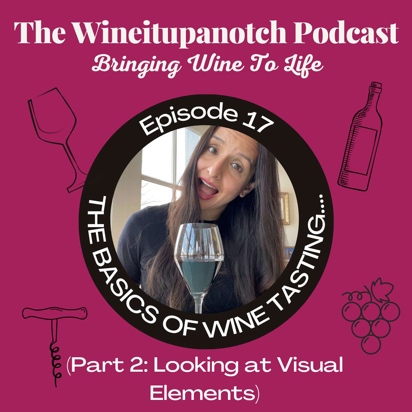 17. The Basics of Wine Tasting, Part 2: Using Visual Elements While Wine Tasting