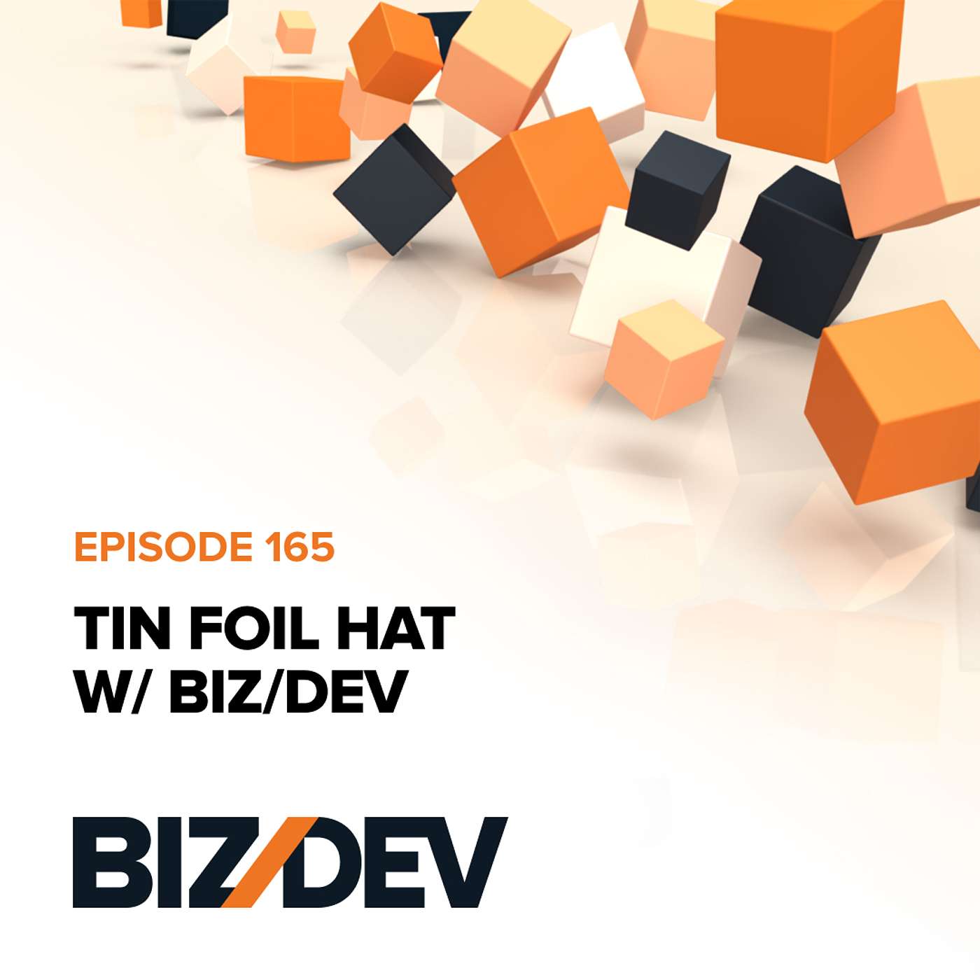 Tin Foil Hat with Biz/Dev Podcast | Ep. 165