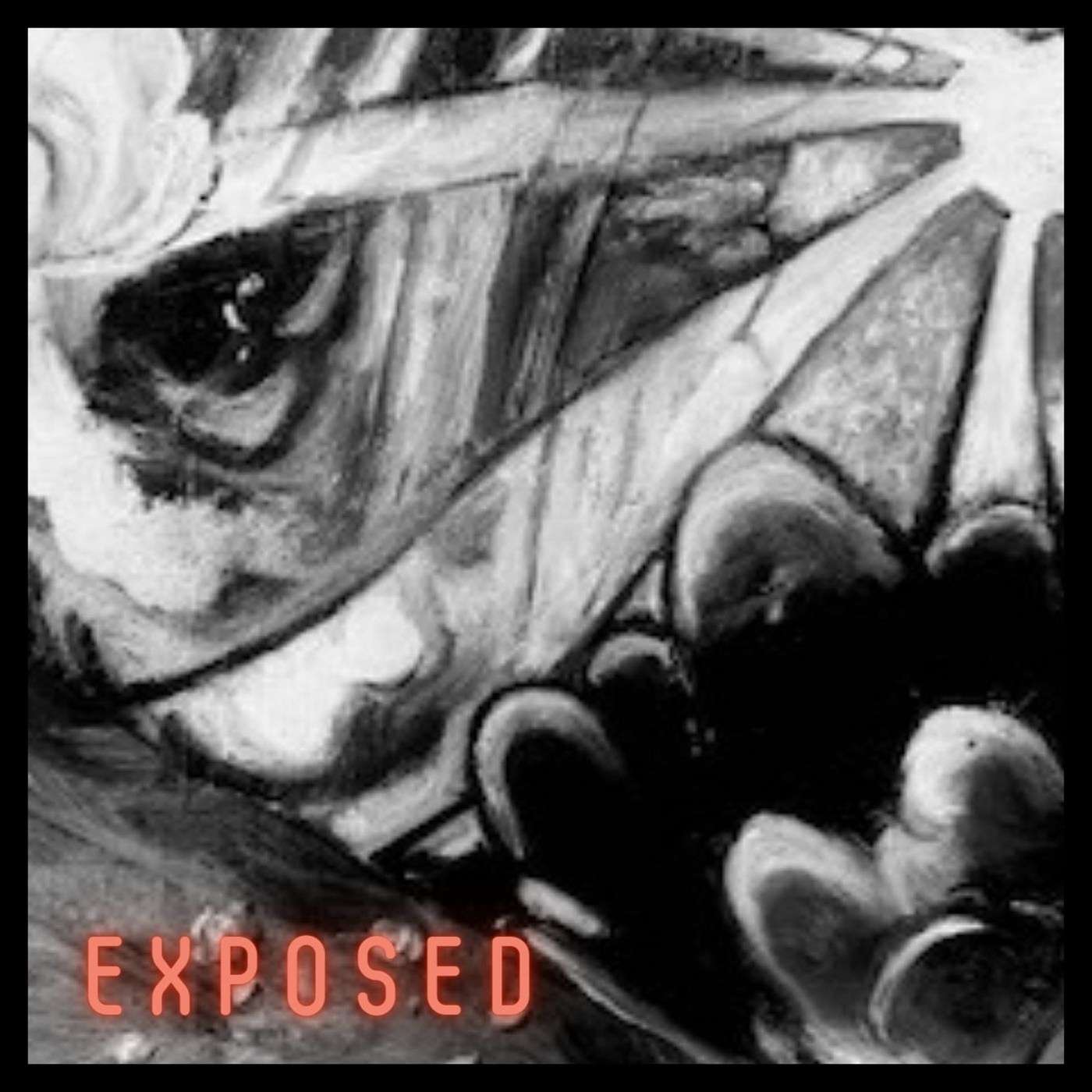 Warfare of Art & Law Podcast