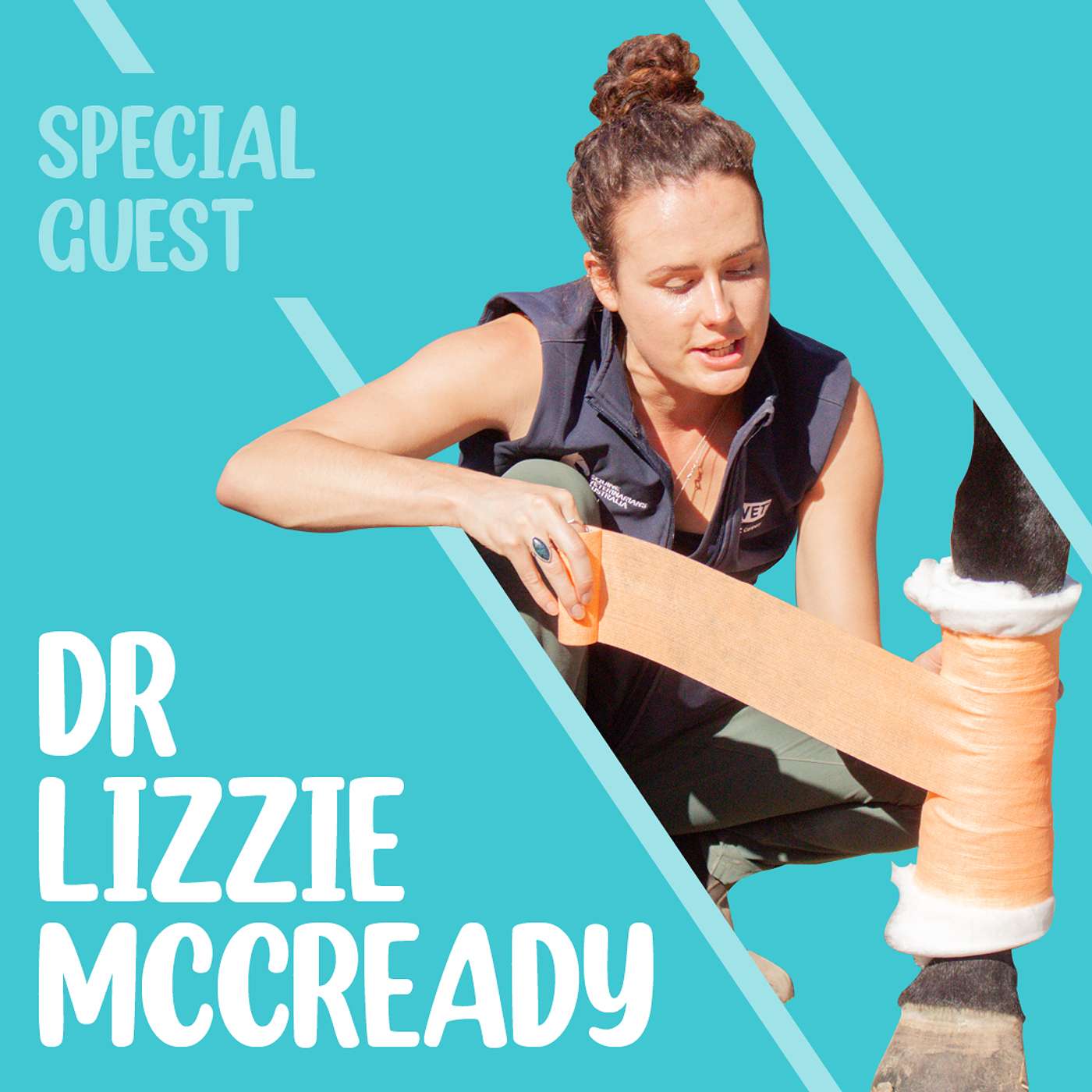 Preparing for Equine Emergencies with Dr Lizzie McCready