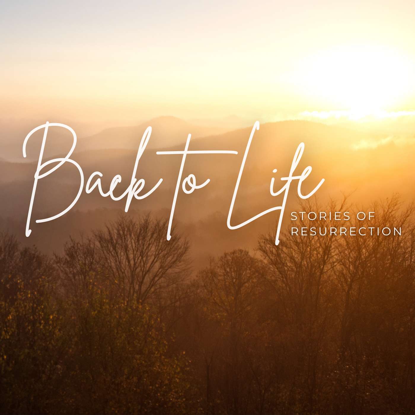 179: Back to Life, Part 13 179: Back to Life, Part 13