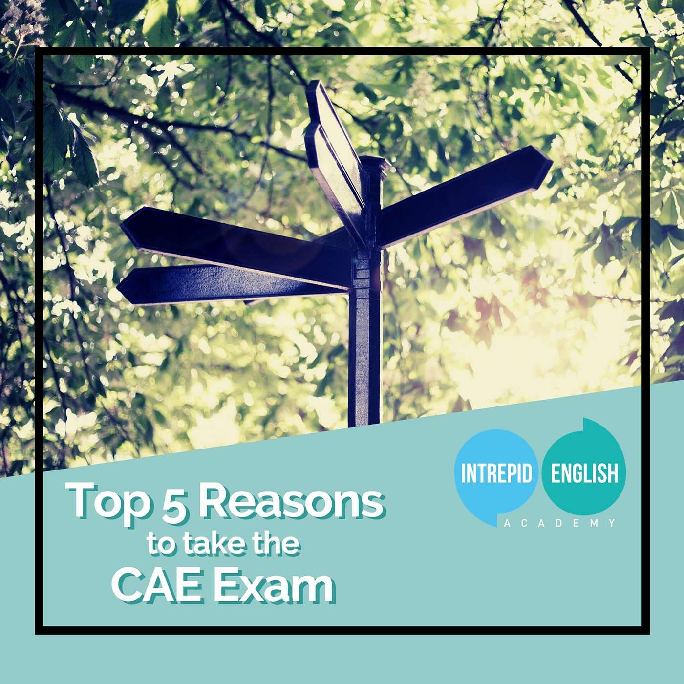 Top 5 Reasons to Take The CAE Exam