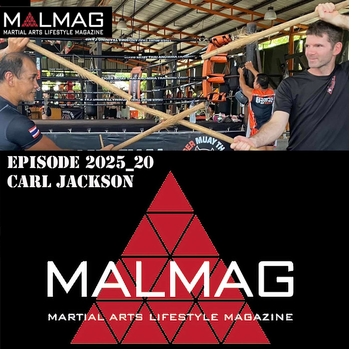 The Martial Arts Lifestyle Podcast