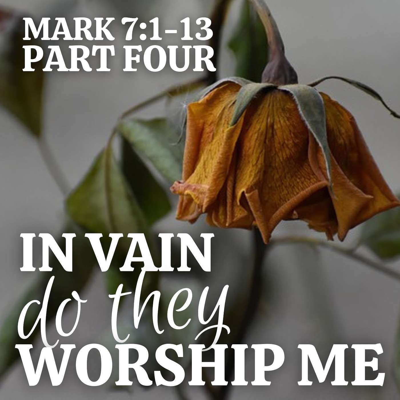 In Vain Do They Worship Me, Part 4; Mark 7:1-13