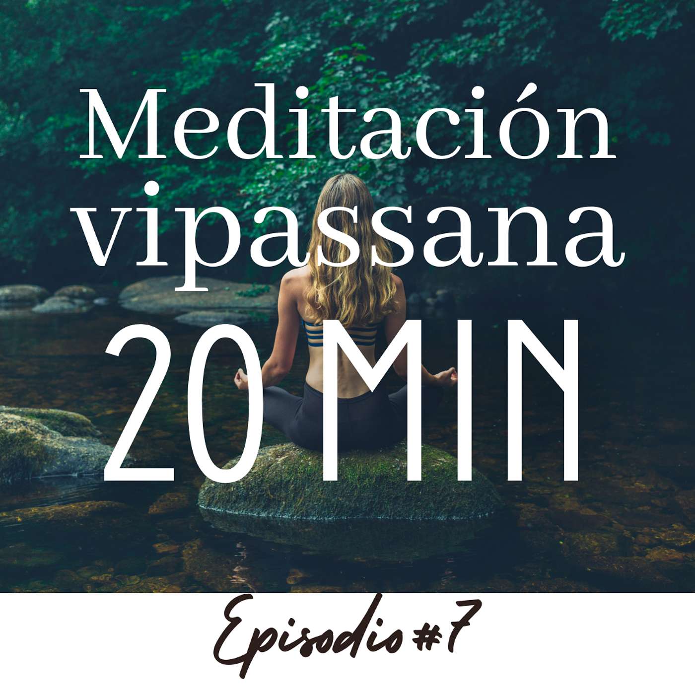 Meditación Vipassana: Observa tu mente con claridad Meditación Vipassana: Observa tu mente con claridad