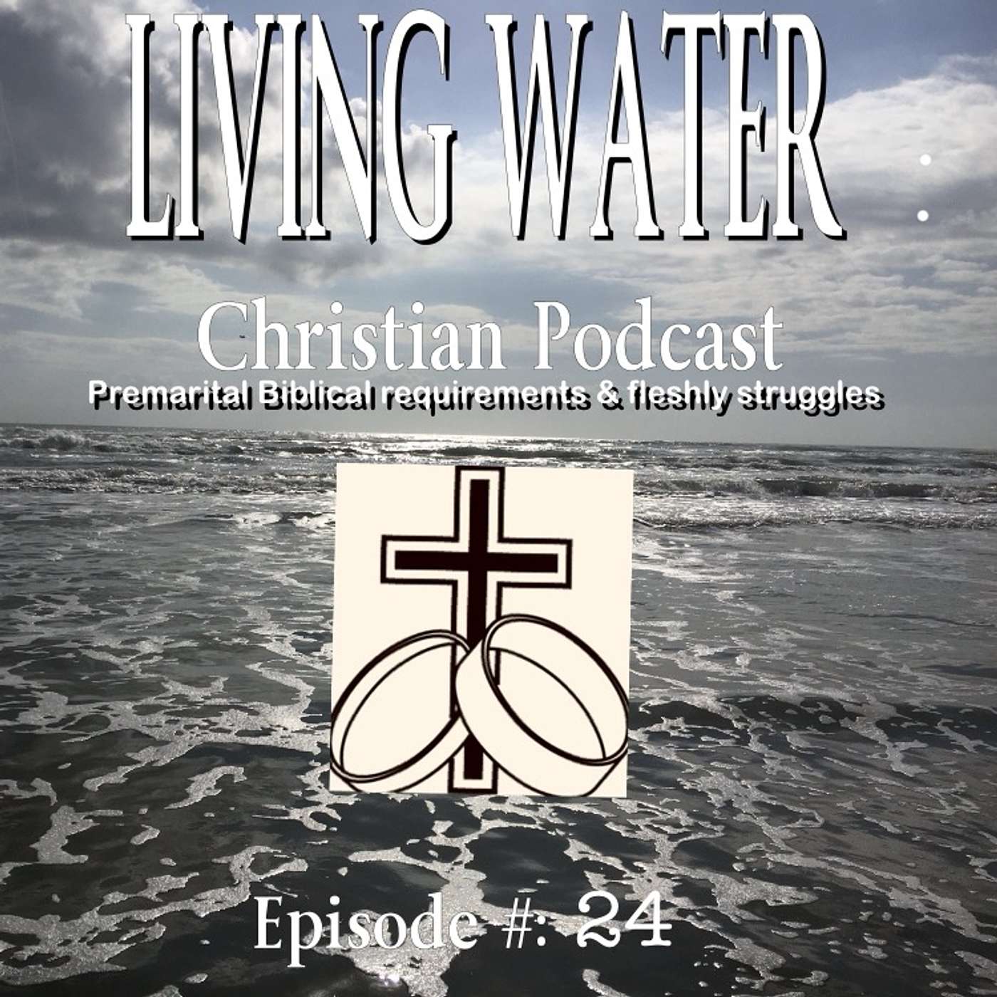 cover of episode PREMARITAL BIBLICAL REQUIREMENTS & FLESHLY STRUGGLES