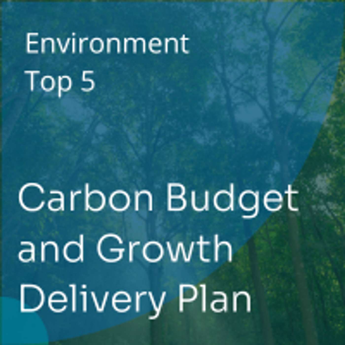 UK Carbon Budget & Growth Delivery Plan: Top 5 Insights for Environmental Professionals